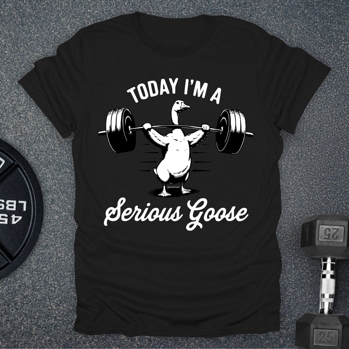 Serious Goose T-Shirt