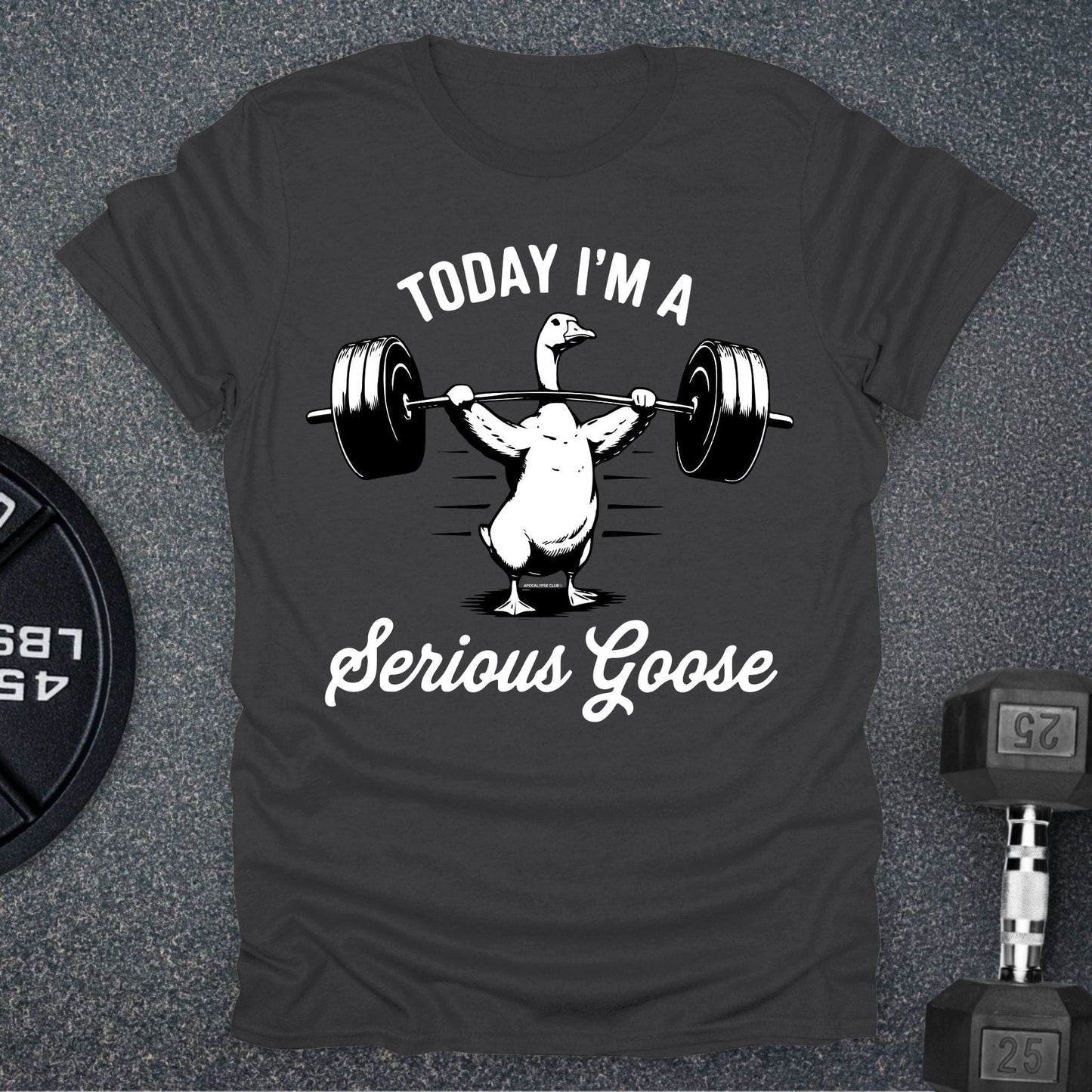 Serious Goose T-Shirt