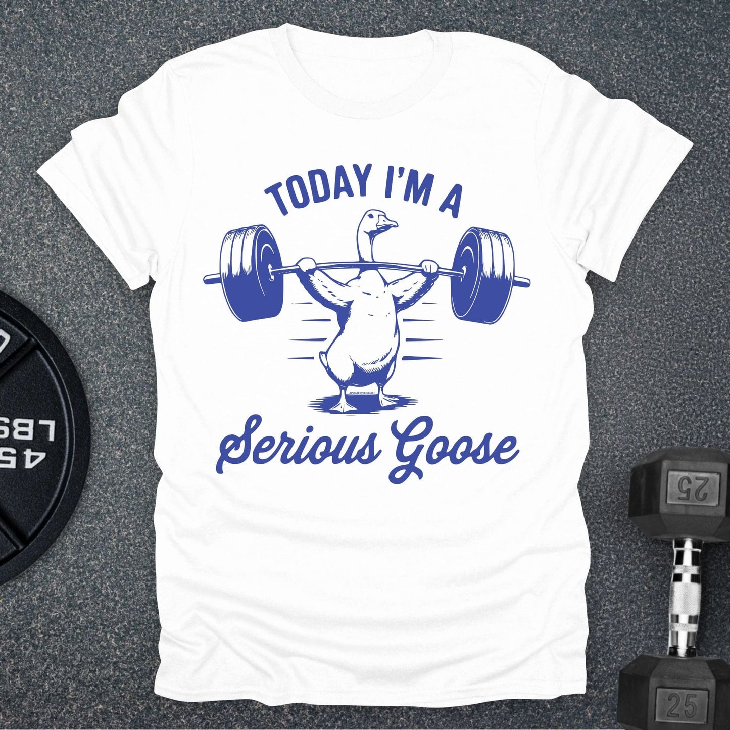 Serious Goose T-Shirt