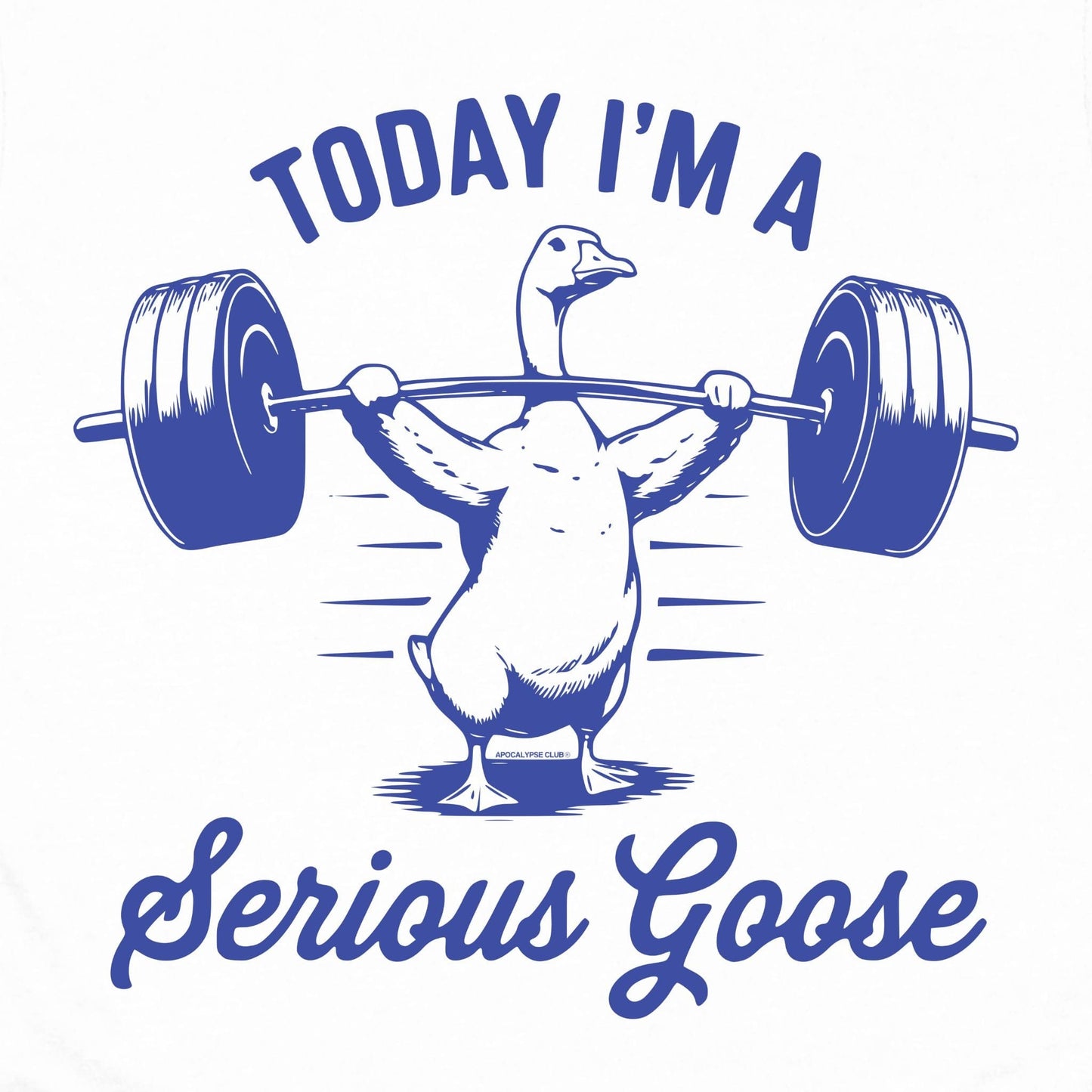 Serious Goose T-Shirt