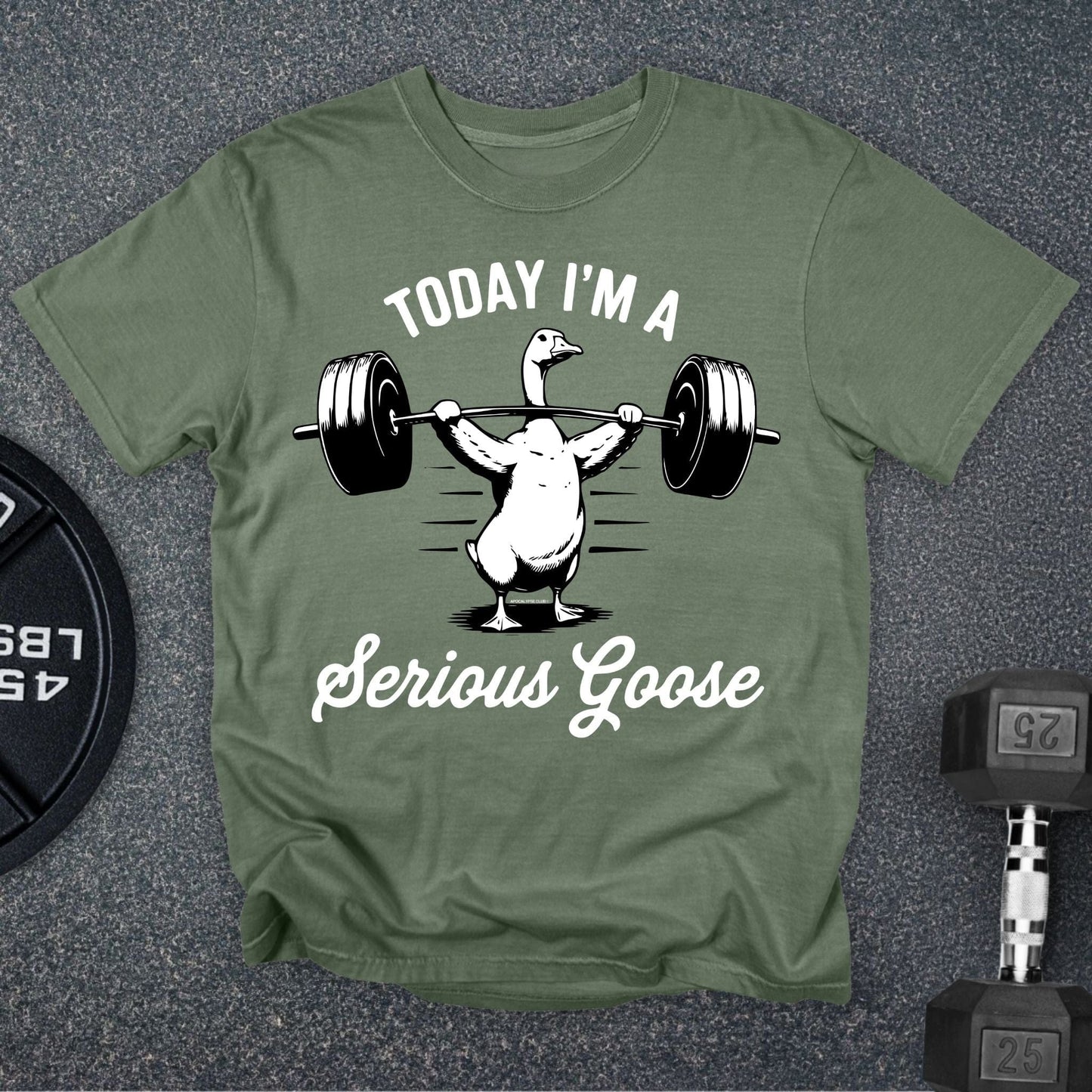 Serious Goose Premium T-Shirt
