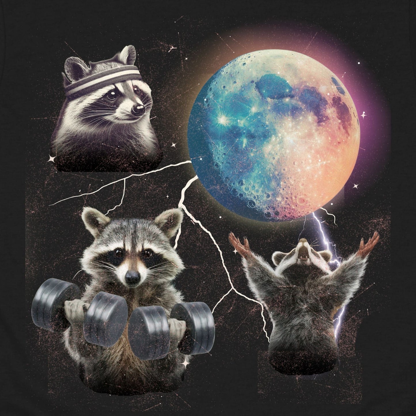 Three Raccoons T-Shirt