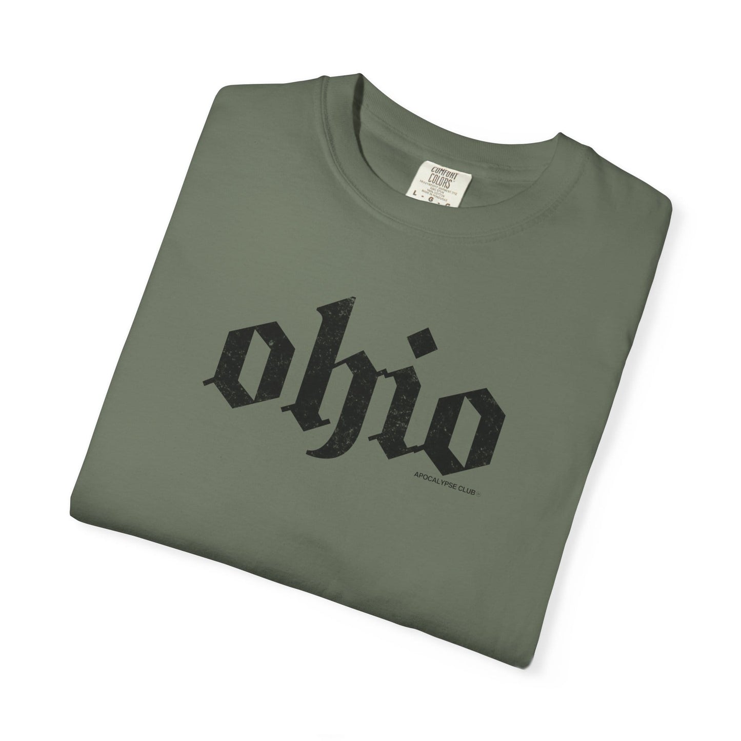 Ohio DNA Premium T-Shirt