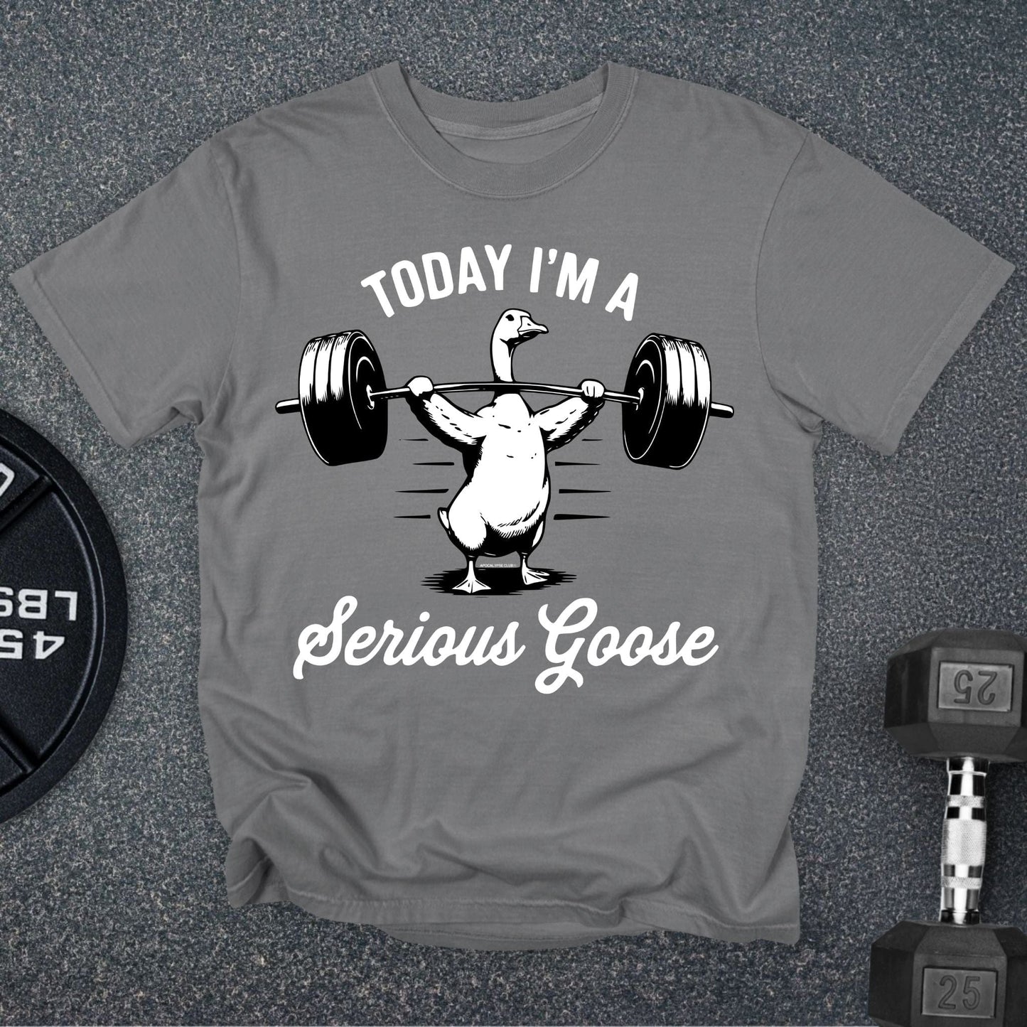 Serious Goose Premium T-Shirt