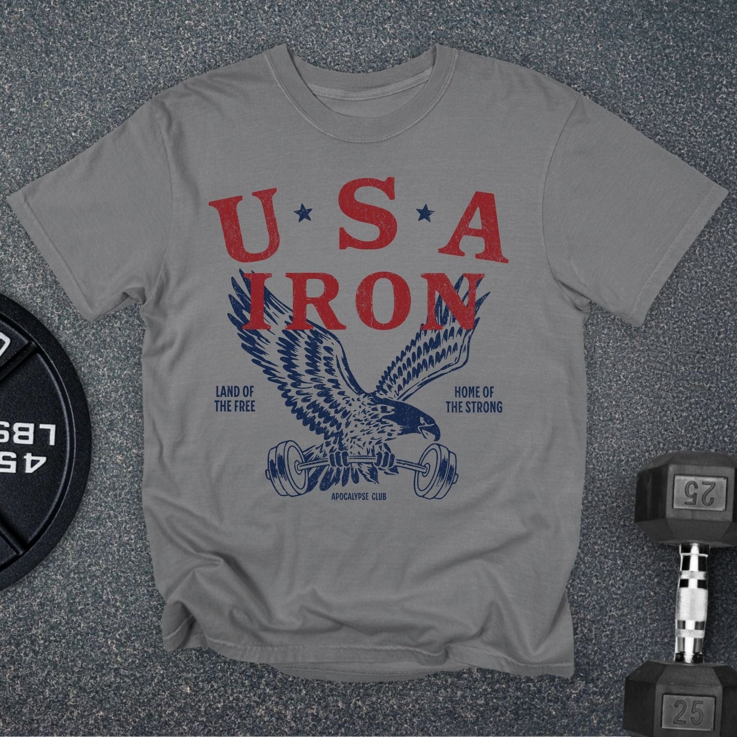 Iron Eagle Premium T-Shirt