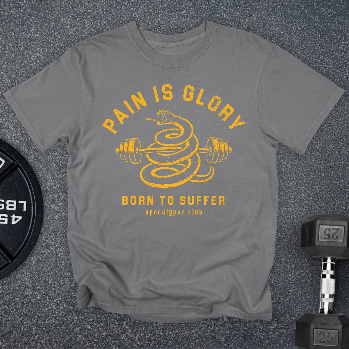 Pain Is Glory Premium T-Shirt