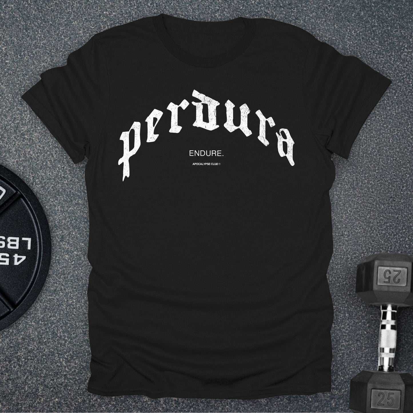 Perdura / Endure T-Shirt