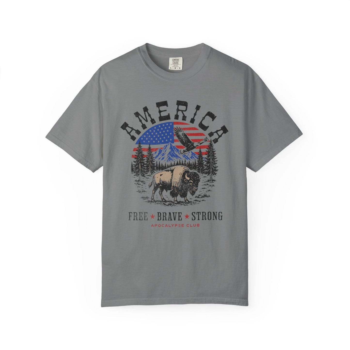 American Pledge Premium T-Shirt