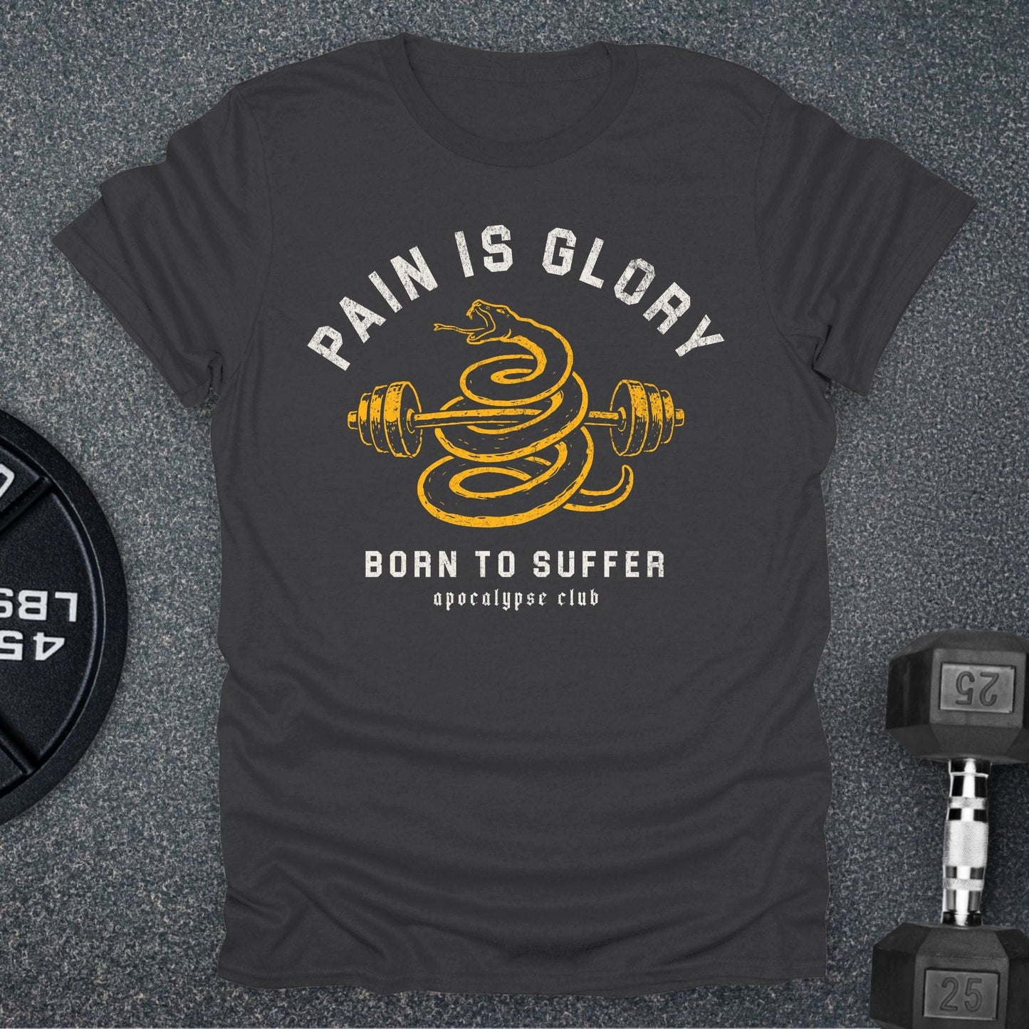 Pain Is Glory T-Shirt