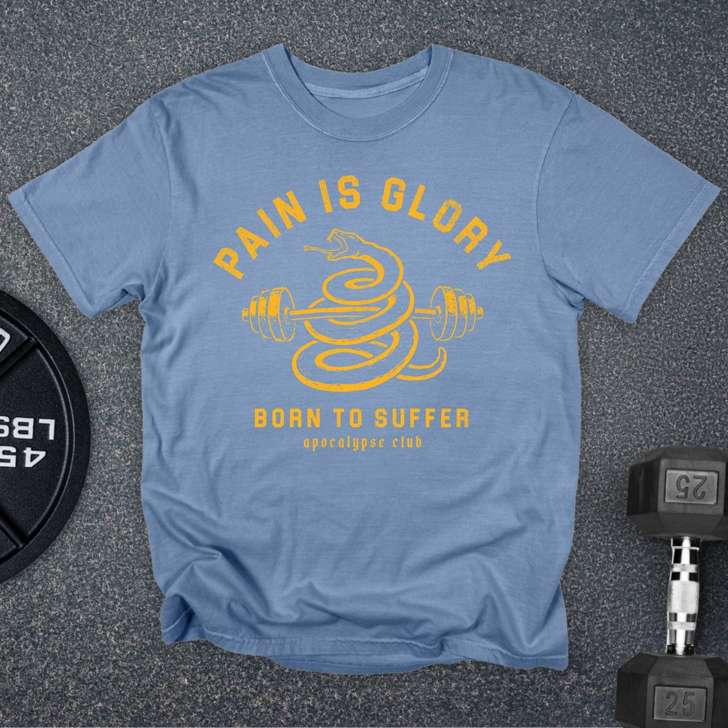 Pain Is Glory Premium T-Shirt