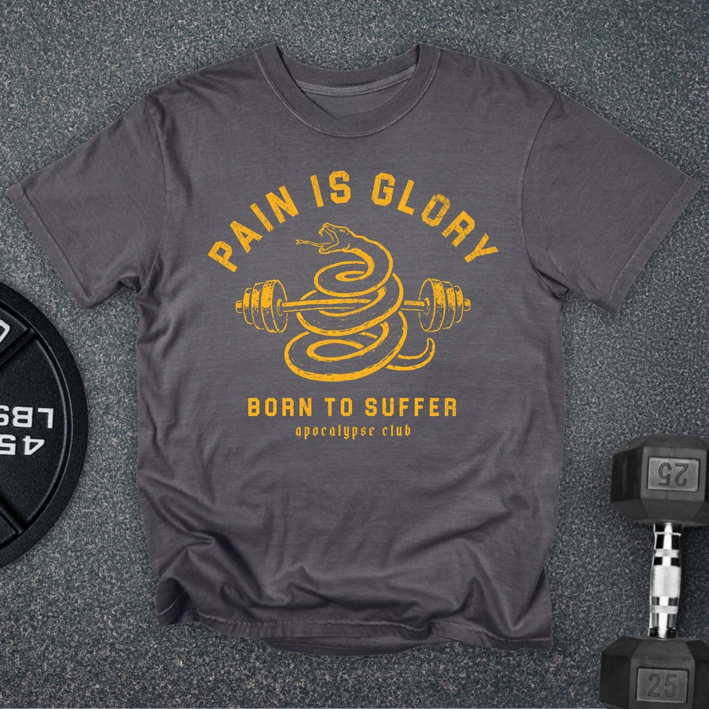 Pain Is Glory Premium T-Shirt