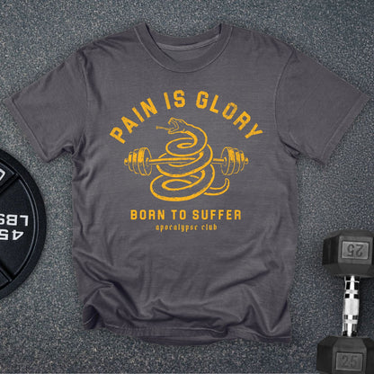 Pain Is Glory Premium T-Shirt
