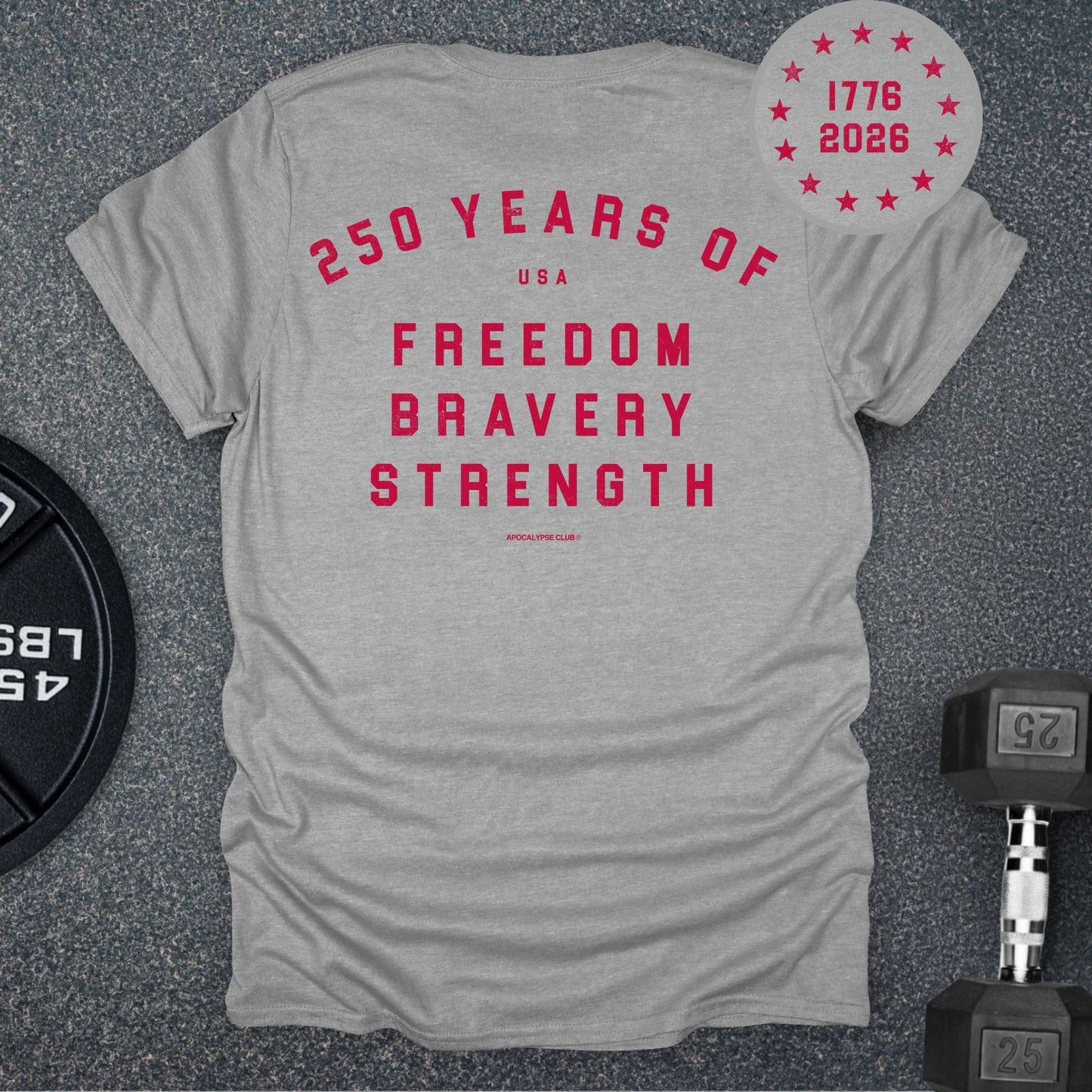 250th Anniversary Pillars T-Shirt