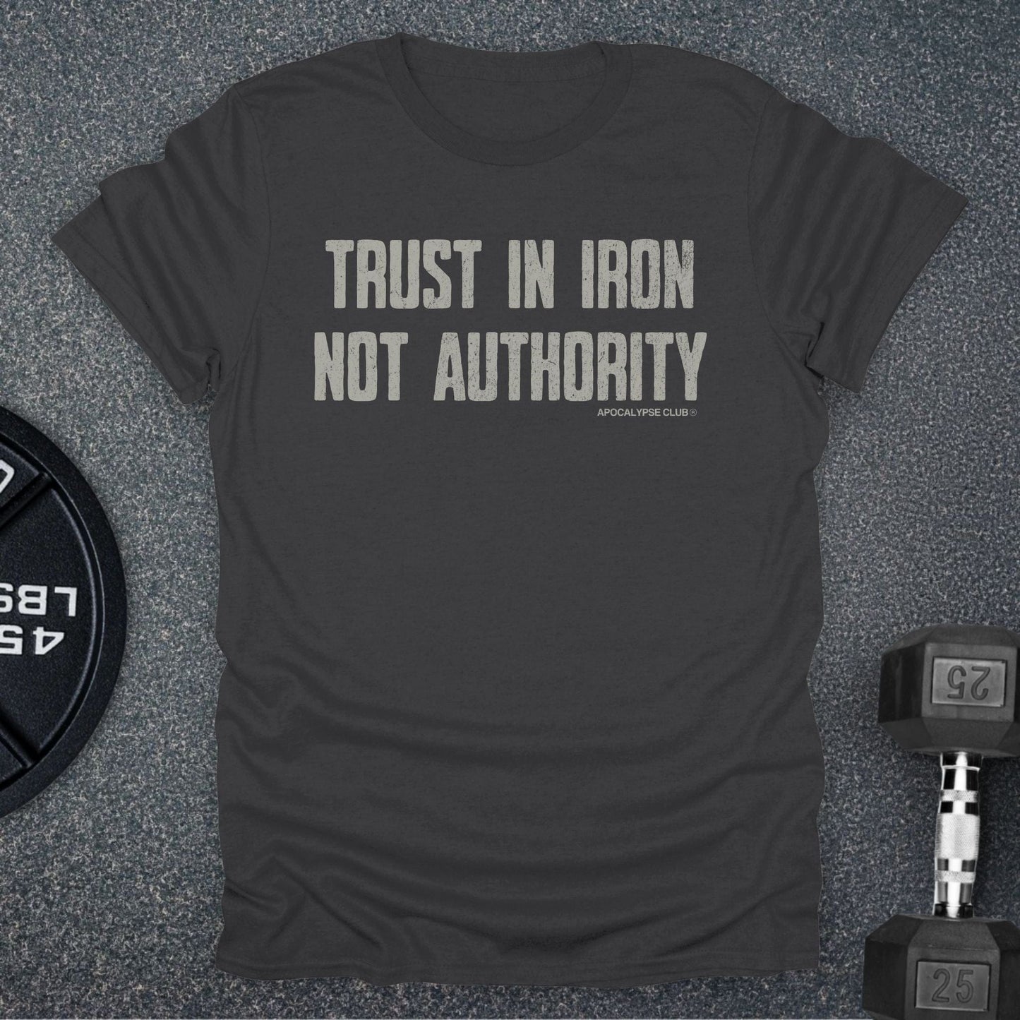 Iron Not Authority T-Shirt