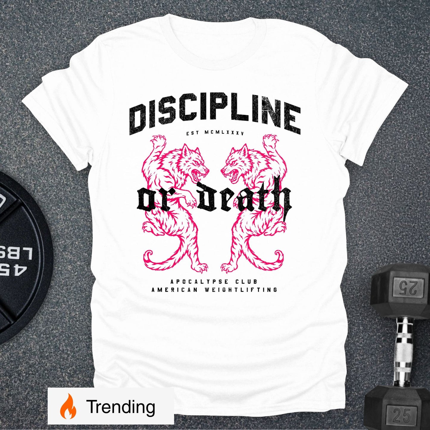 Discipline Or Death T-Shirt