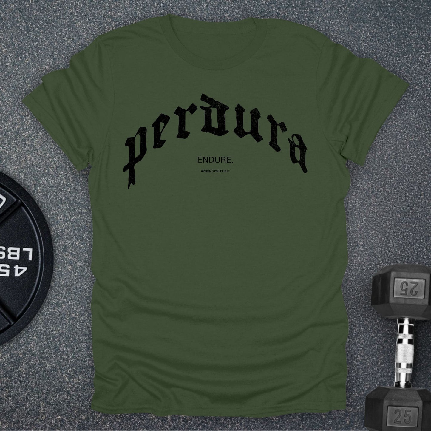 Perdura / Endure T-Shirt