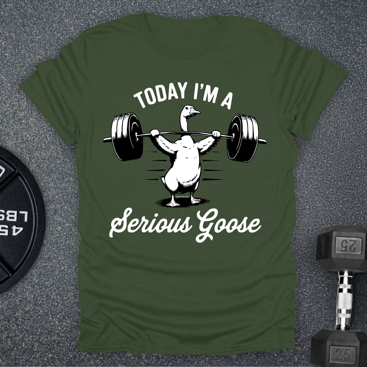 Serious Goose T-Shirt