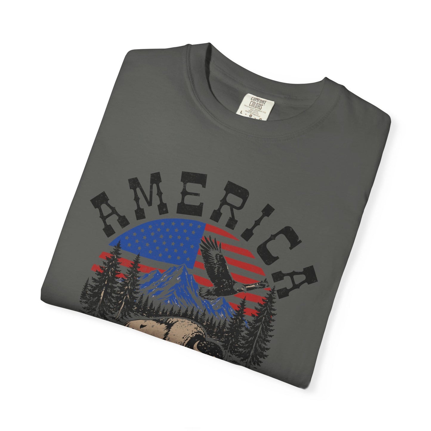 American Pledge Premium T-Shirt