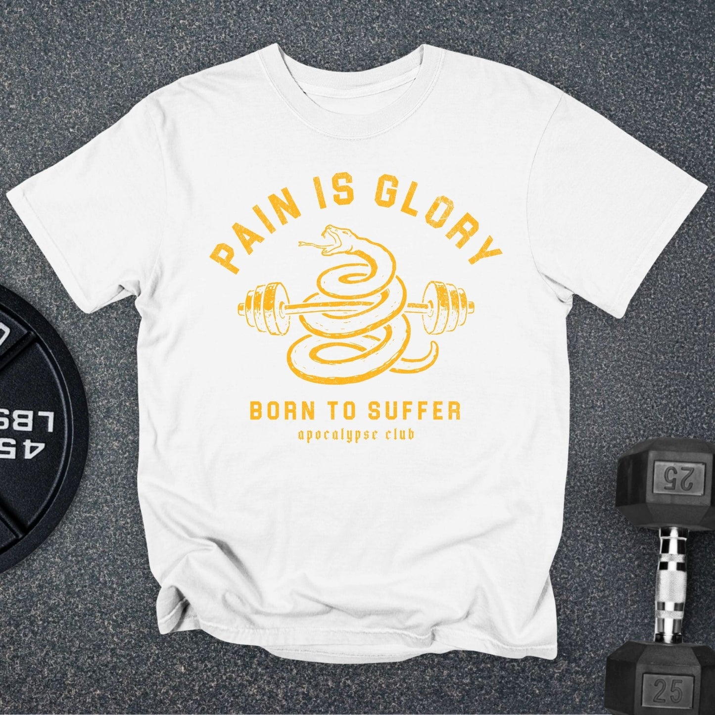 Pain Is Glory Premium T-Shirt