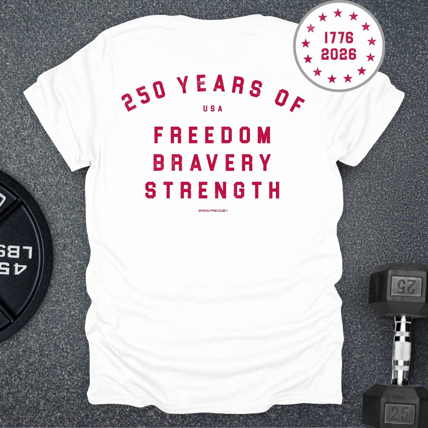 250th Anniversary Pillars T-Shirt