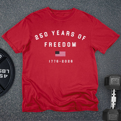 250 Years Pillars Premium T-Shirt
