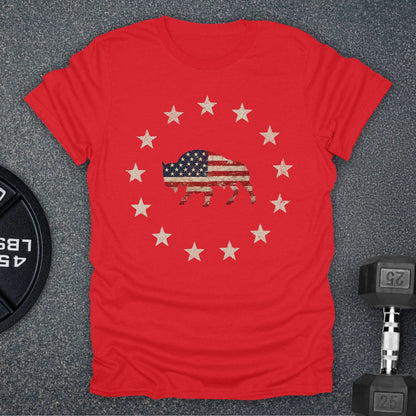 Republic Of Strength T-Shirt
