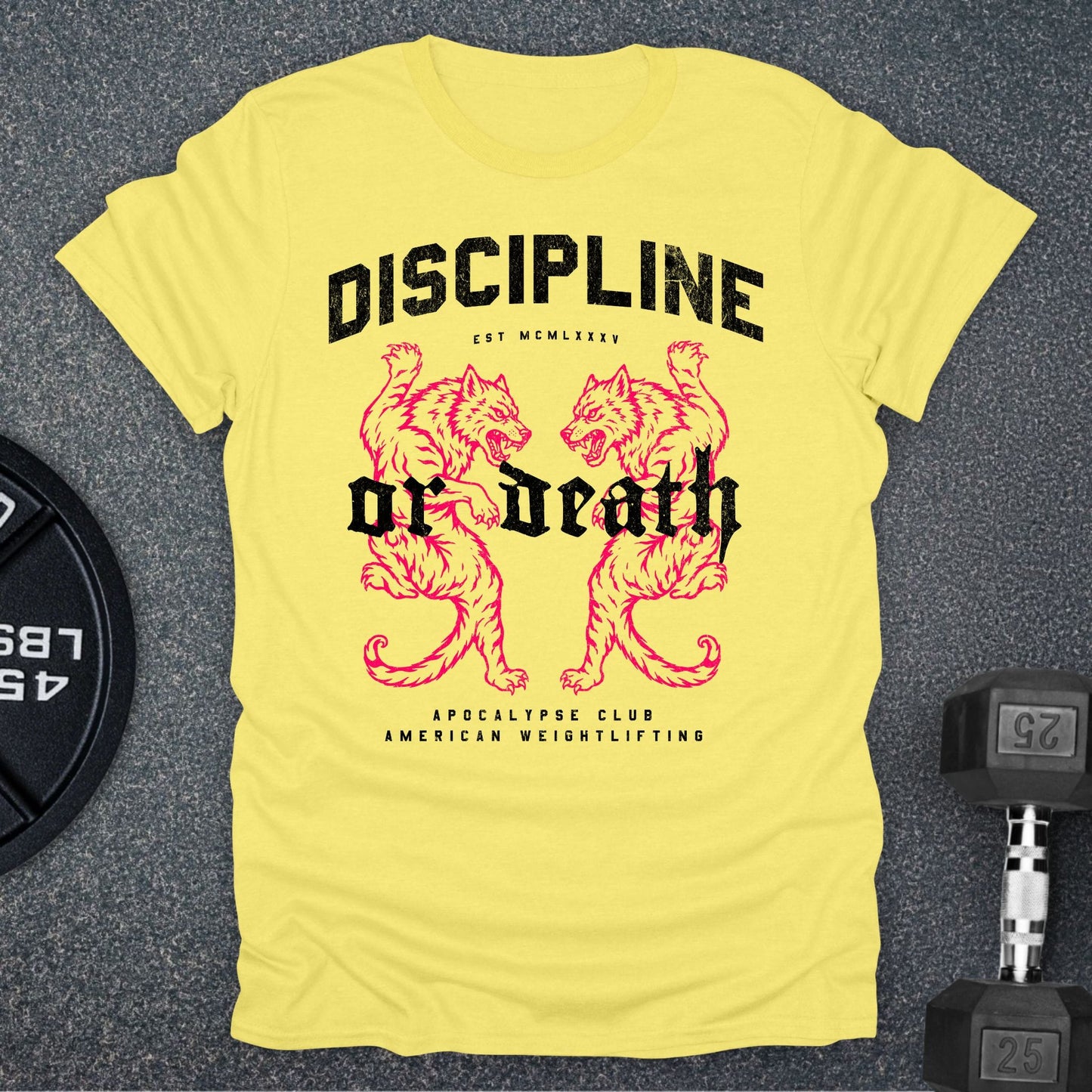 Discipline Or Death T-Shirt