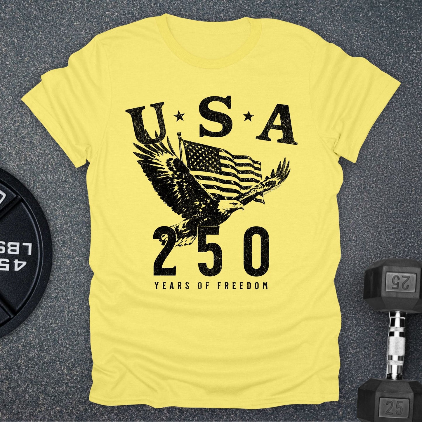 USA 250 Eagle T-Shirt