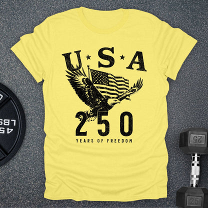 USA 250 Eagle T-Shirt