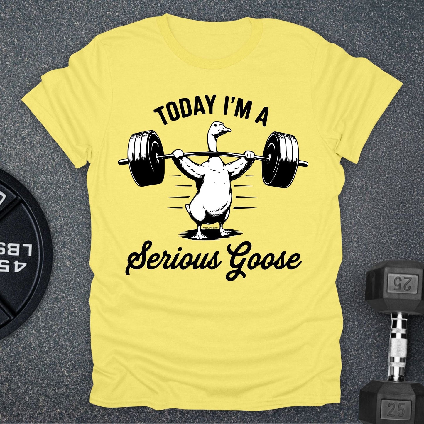 Serious Goose T-Shirt