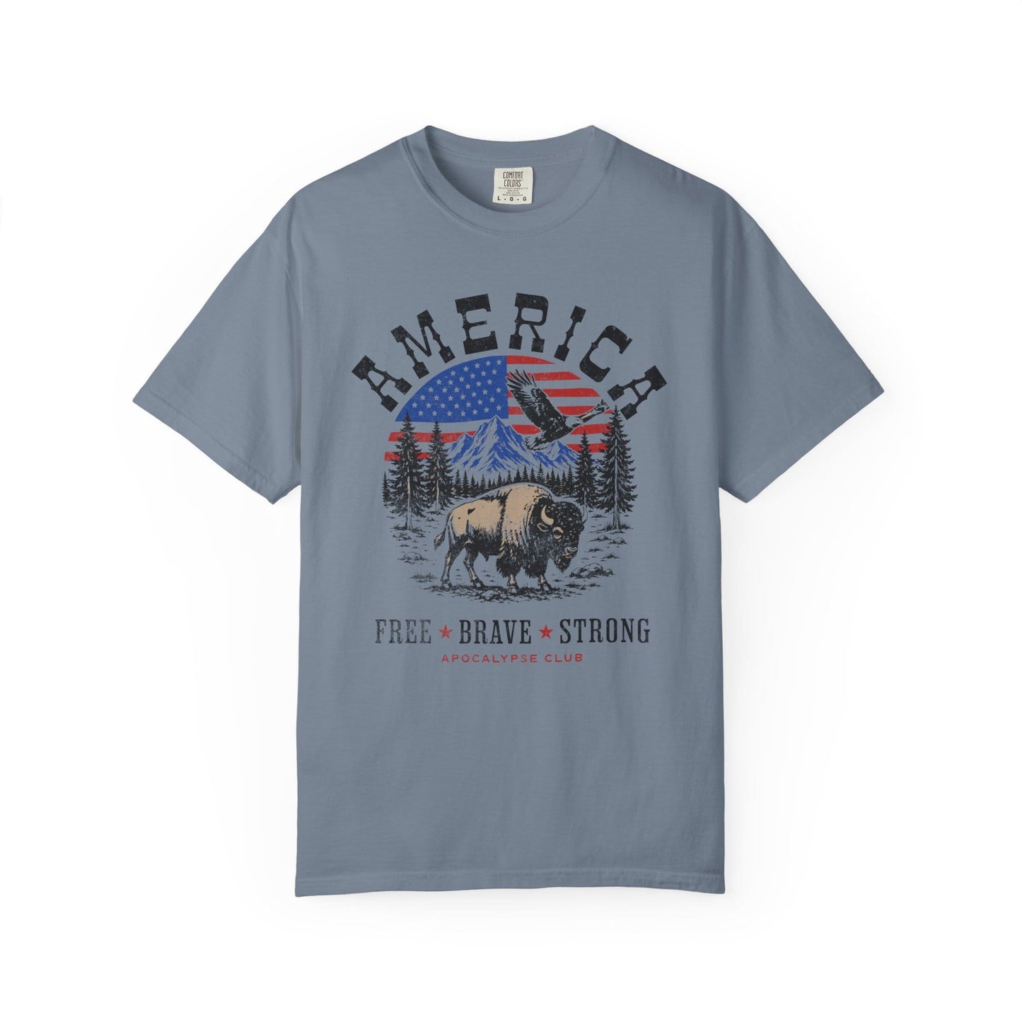 American Pledge Premium T-Shirt