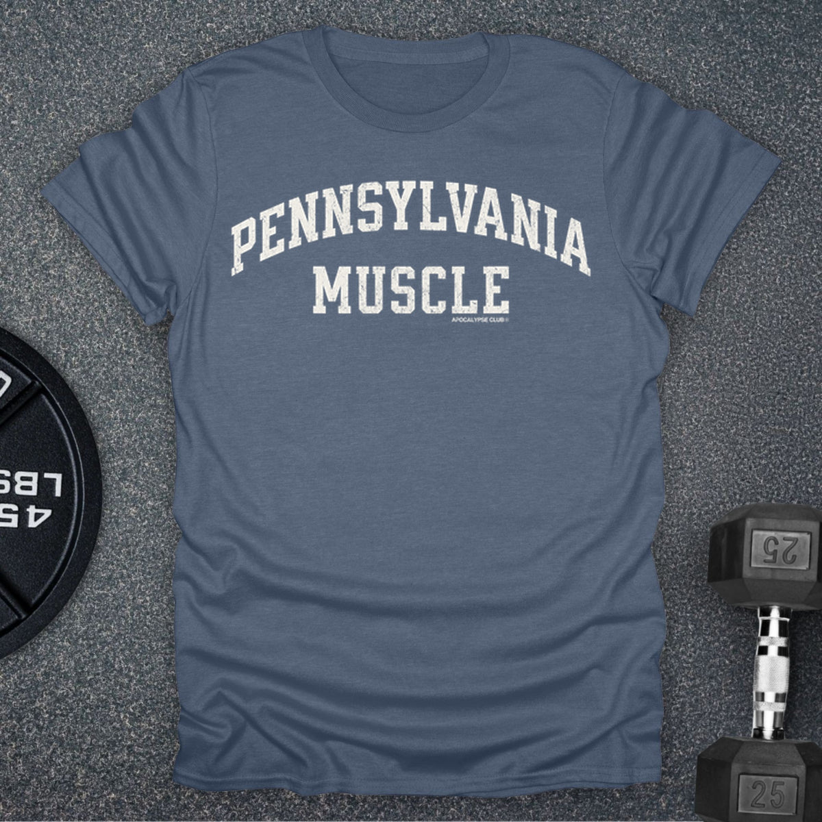 Apocalypse Club Pennsylvania Muscle Heather Indigo gym t-shirt