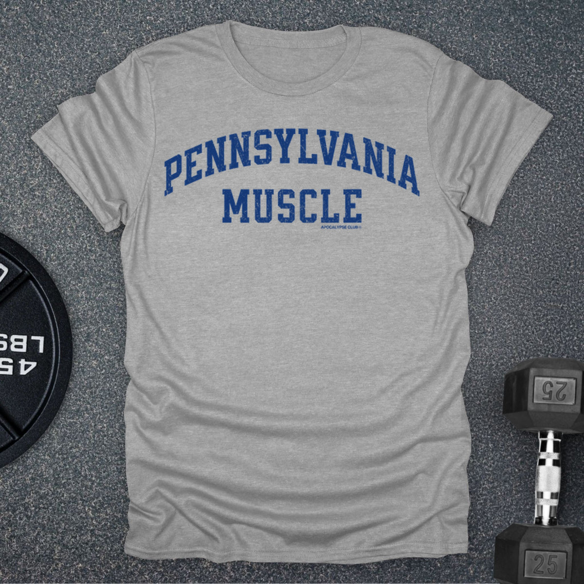 Apocalypse Club Pennsylvania Muscle Sport Grey gym t-shirt
