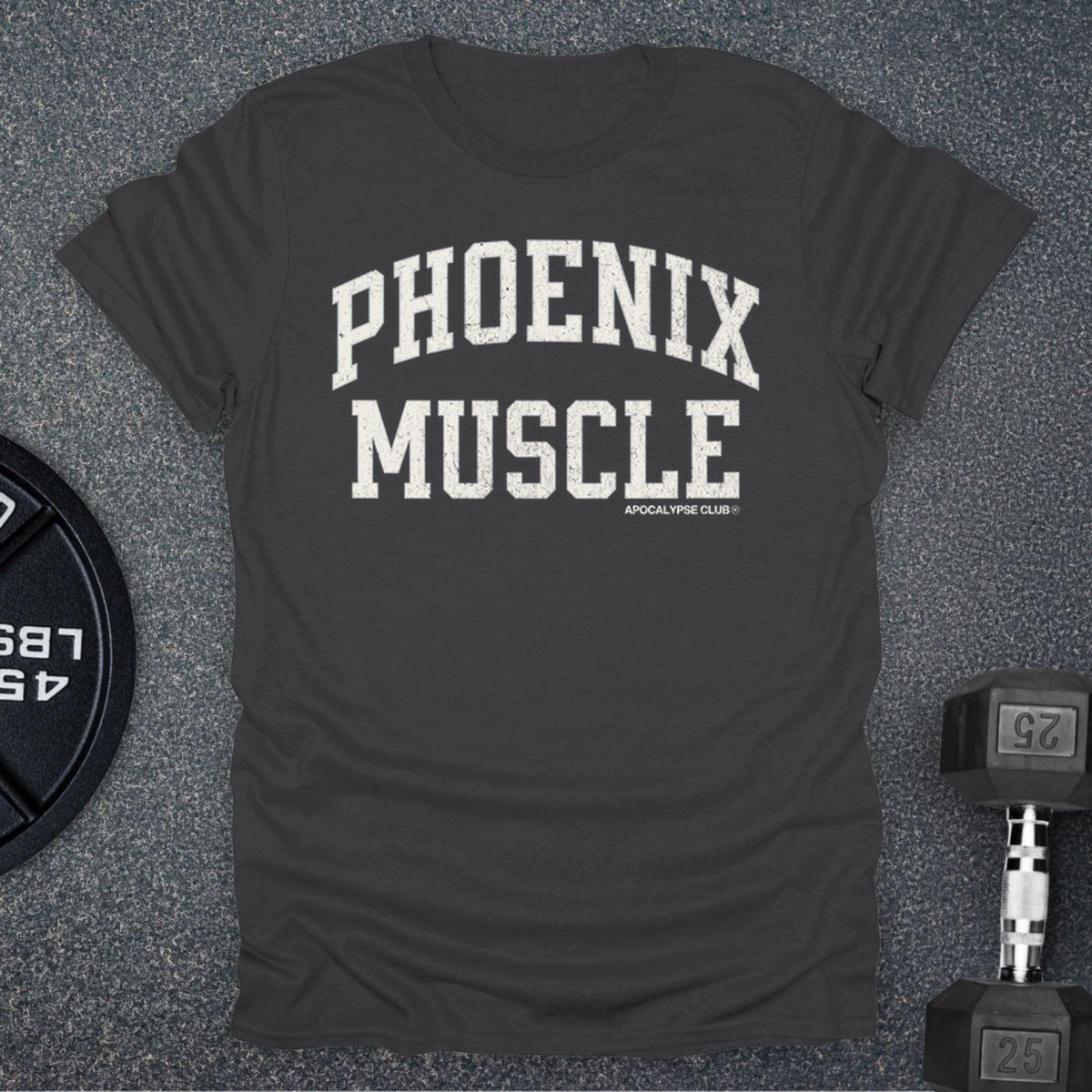 Apocalypse Club Phoenix Muscle Charcoal gym t-shirt
